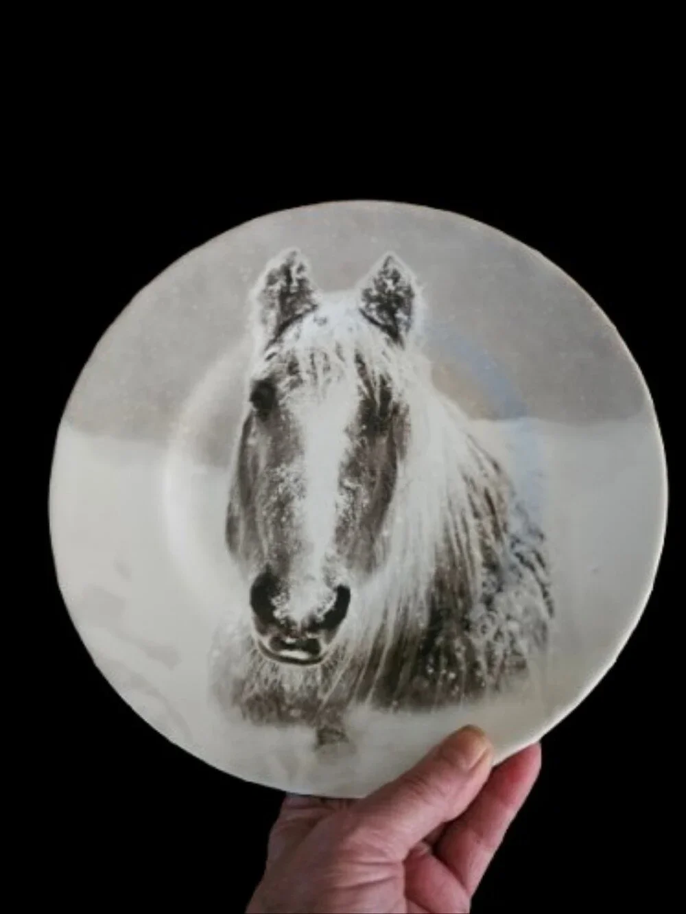 *PIER 1 Imports Snow Forest Winter Animal Salad/Appetizer Plates Set Of 4